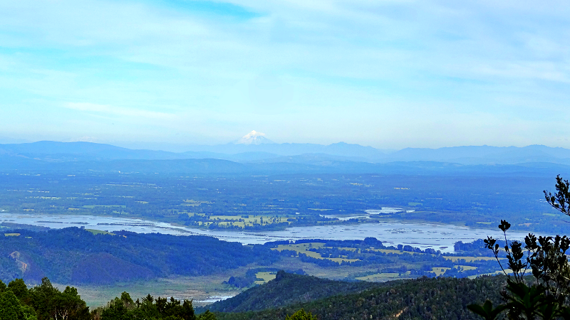 Vista hacia el Santuario del Río Cruces desde el cerro Oncol