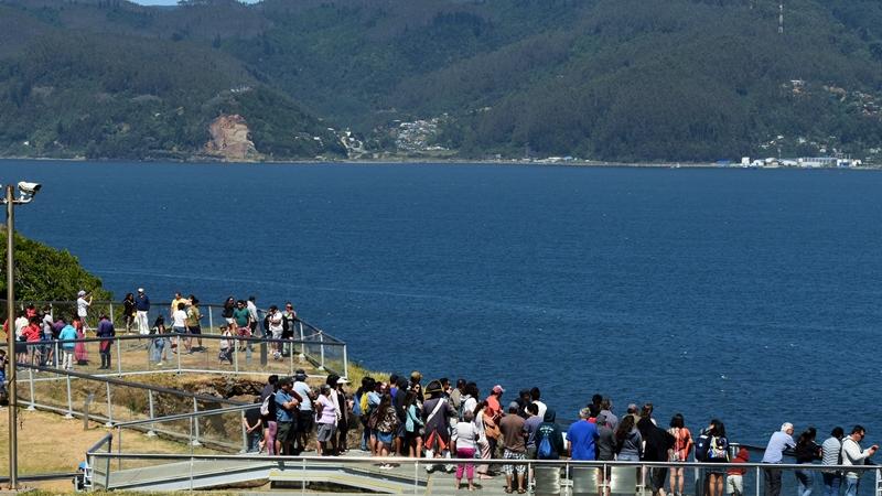 Museo especializado más visitado en Chile