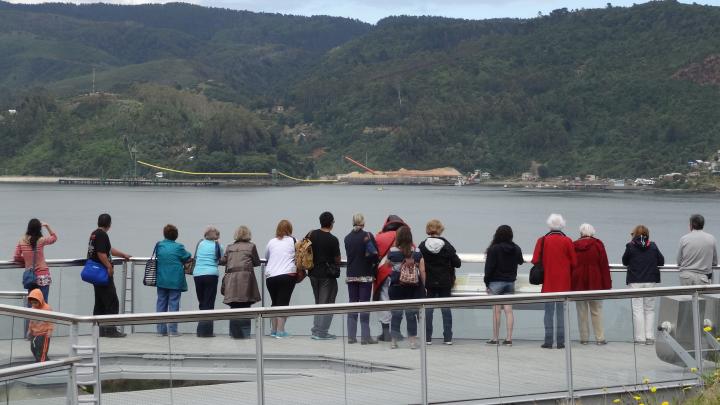 Visitantes frente a la bahía