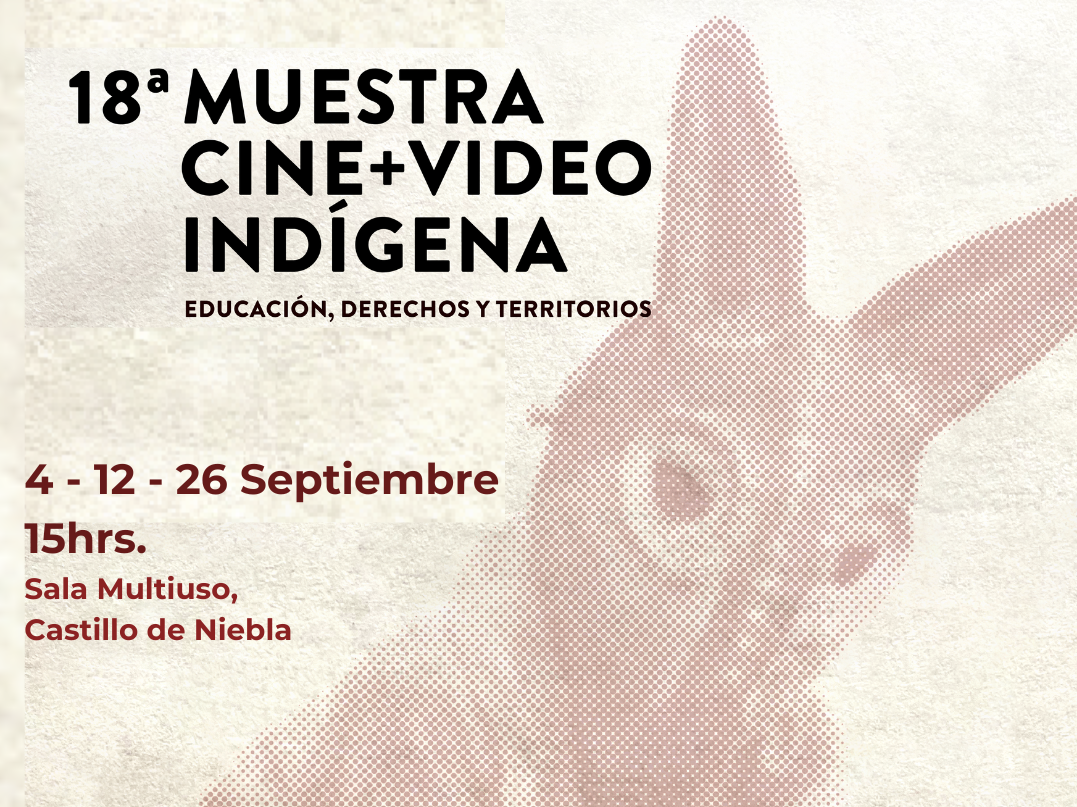 CINE + VIDEO INDÍGENA