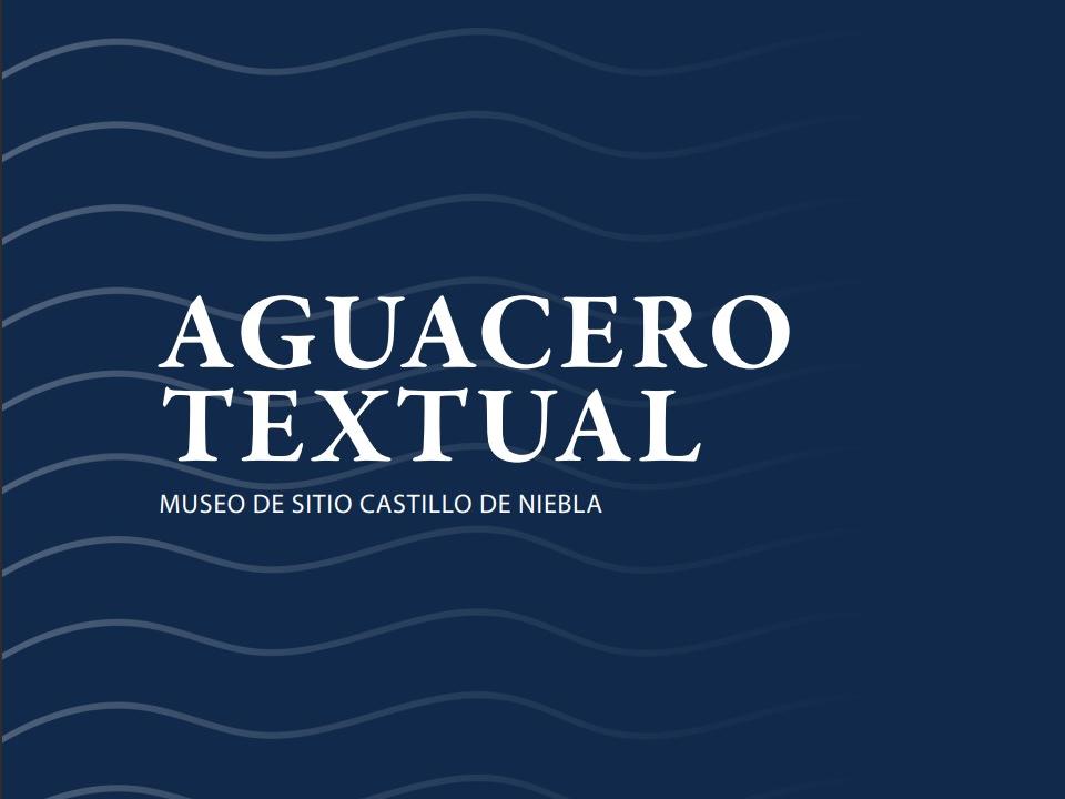 Portada nueva Revista Aguacero Textual