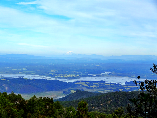 Vista hacia el Santuario del Río Cruces desde el cerro Oncol