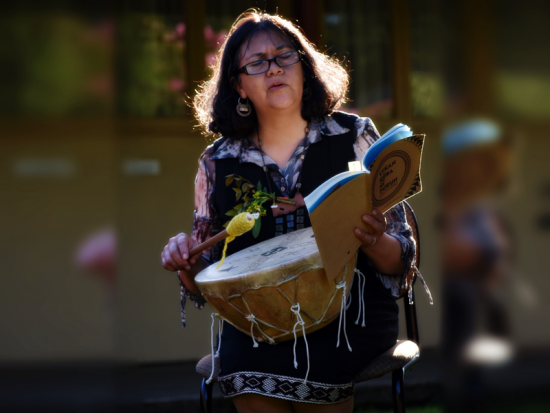 Faumelisa Manquepillán, poeta mapuche