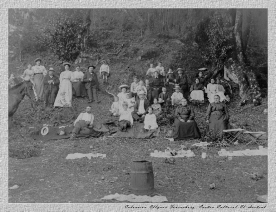 Coleccion Ellynor Fehrenberg (Centro Cultural El Austral)