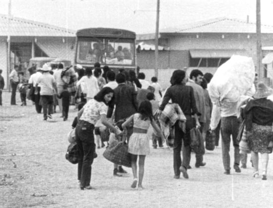 Archivo Un Verano Feliz